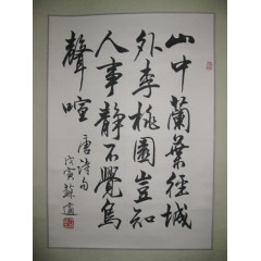 蘇適 - 68 X 45